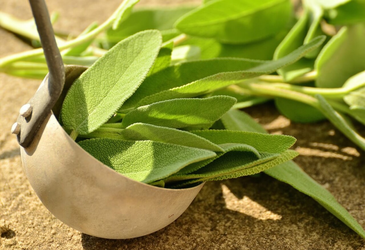 15 Ways to Integrate Spirituality with Plant Medicine