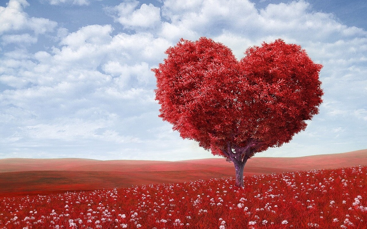 A Complete Guide in using Feng Shui for Love