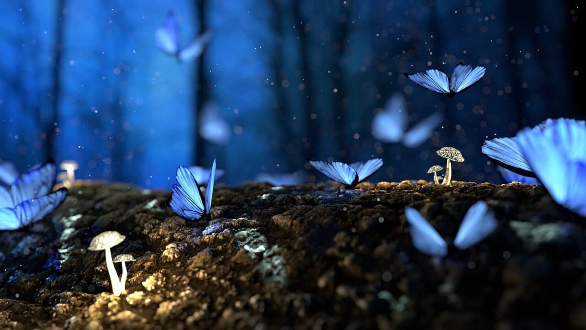 A Guide to Spiritual Dreams: Everything You Need To Know
