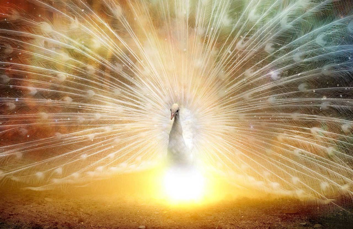 Feng Shui Tips for Love this 2019