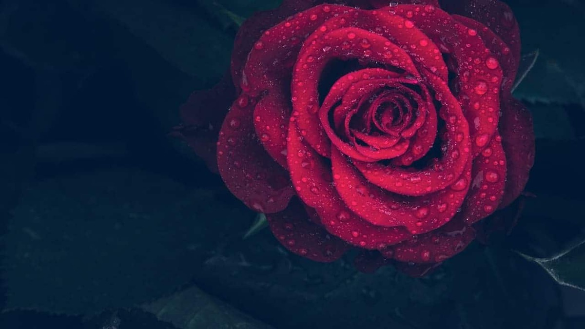 Love Language and Archetypes: A Beginner’s Guide