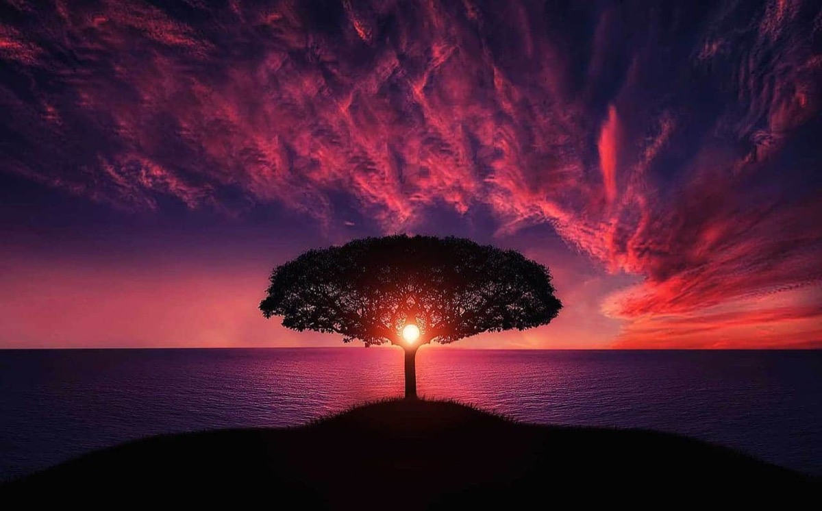 The Positive Side of the 12 Jungian Archetypes: All you need to Know!