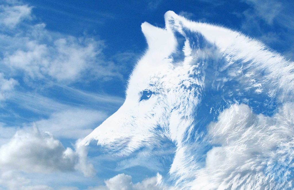 animal spirit guides, animal spirit guide