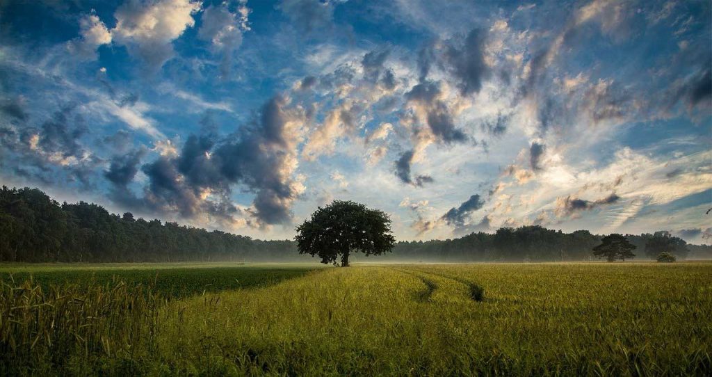 reconnect with nature, peace of mind