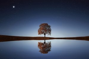 Integrating the Shadow into one’s Consciousness, Shadow Archetype, archetypes, archetype test