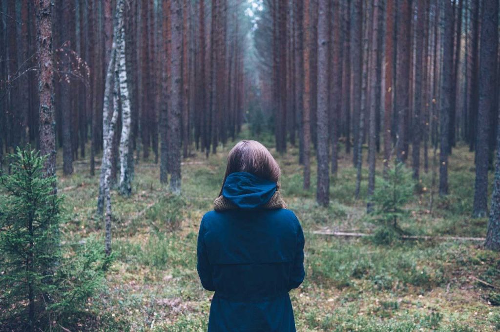 connect with nature, spiritual guidance