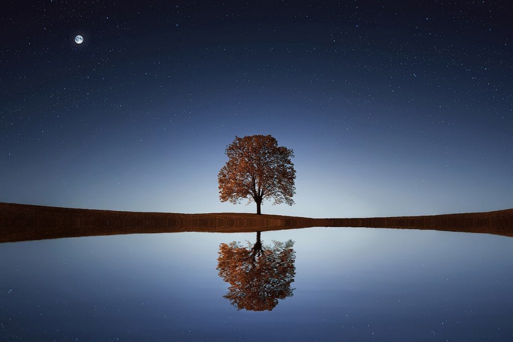 How To Apply Law Of Attraction In Your Life