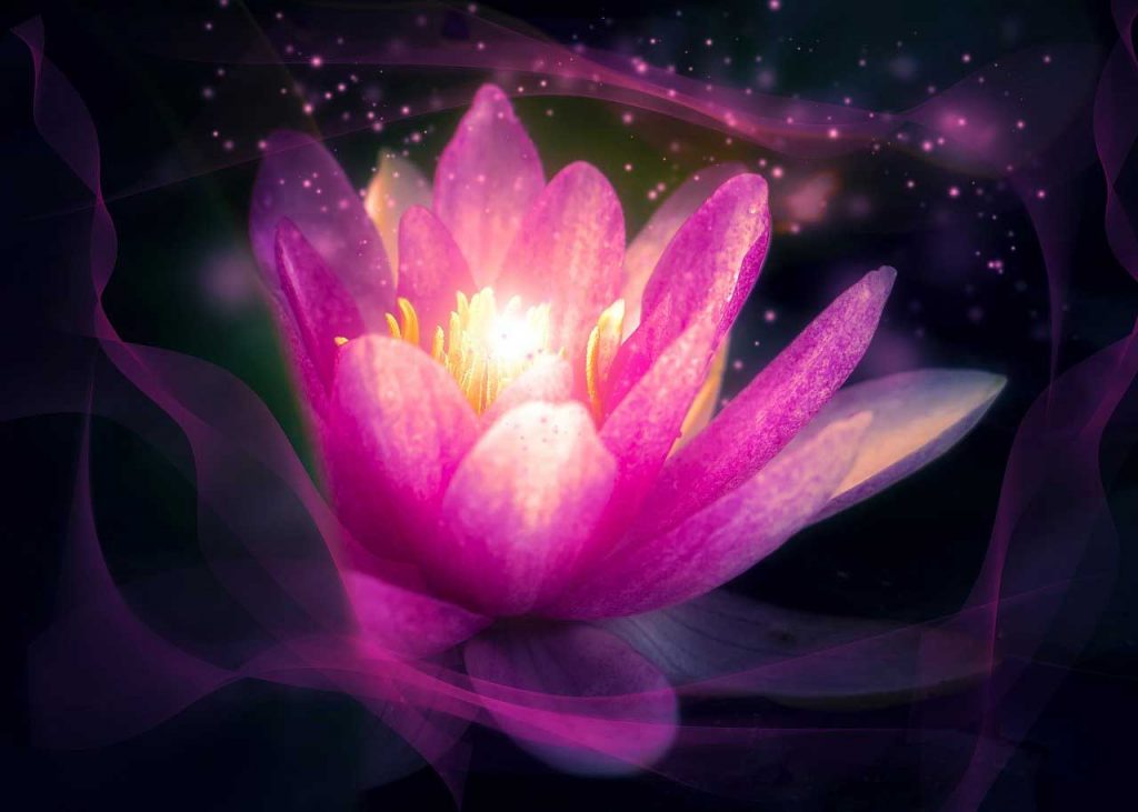 zen meditation benefits, benefits of zen meditation, zazen meditation benefits